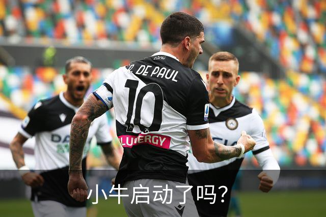 小牛启动了吗？